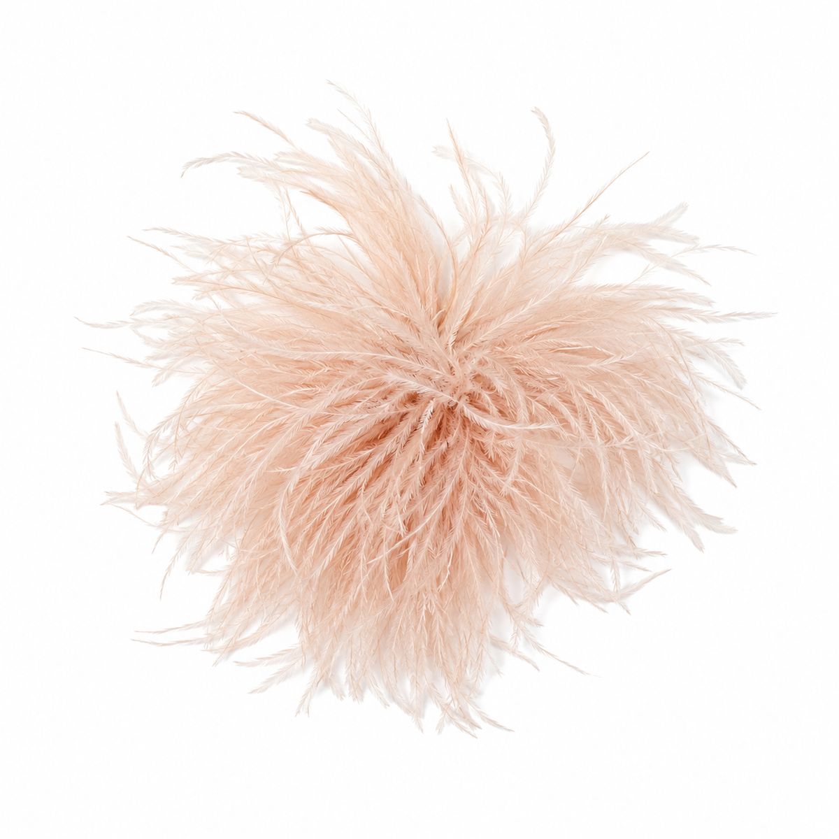 Pin Plumas Avestruz