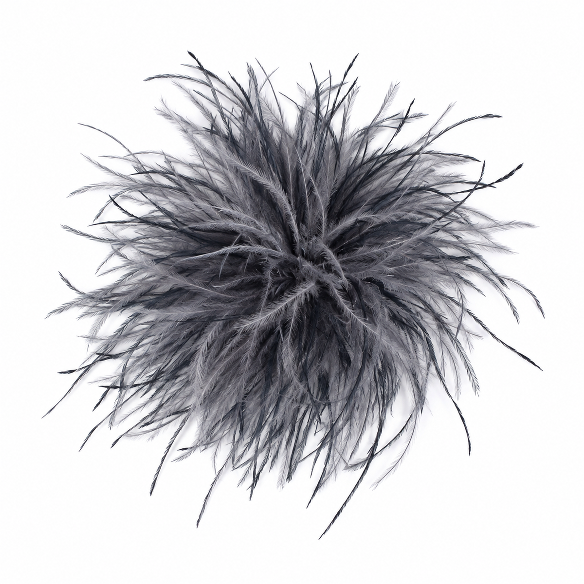 Pin Plumas Avestruz