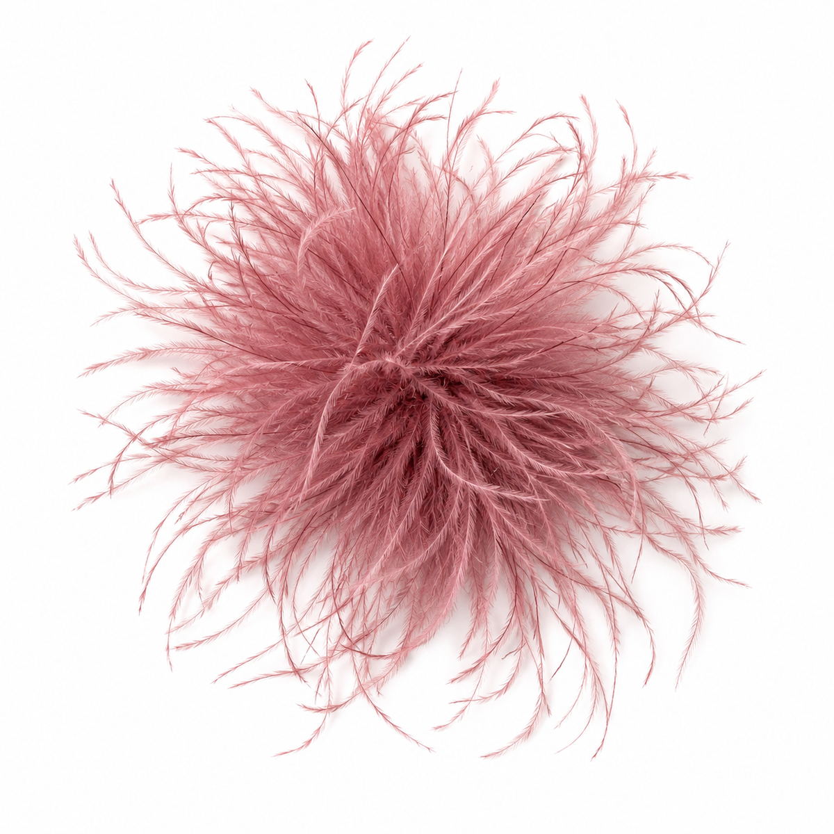 Pin Plumas Avestruz
