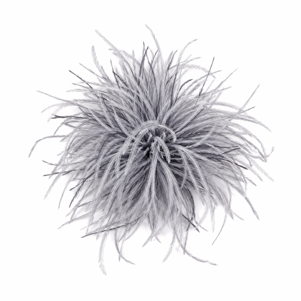 Pin Plumas Avestruz